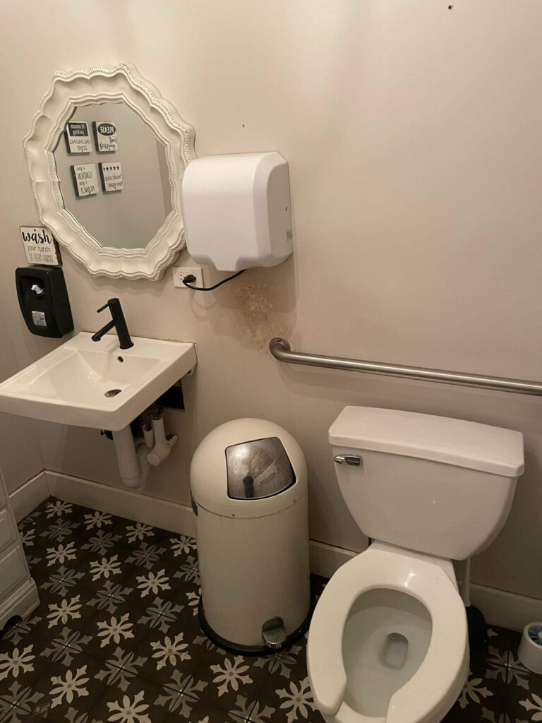 Toilet, trash can and sink