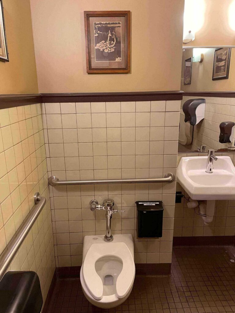 a toilet and a sink