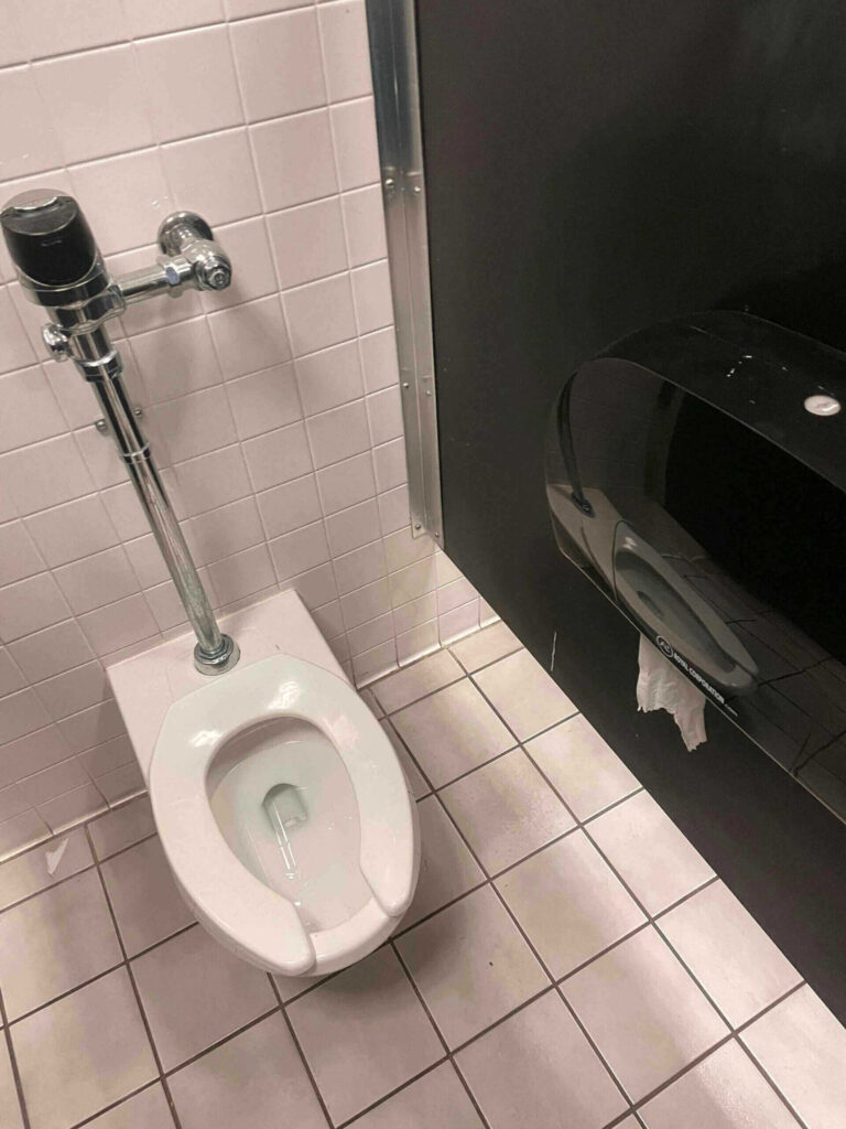 Bathroom toilet in stall