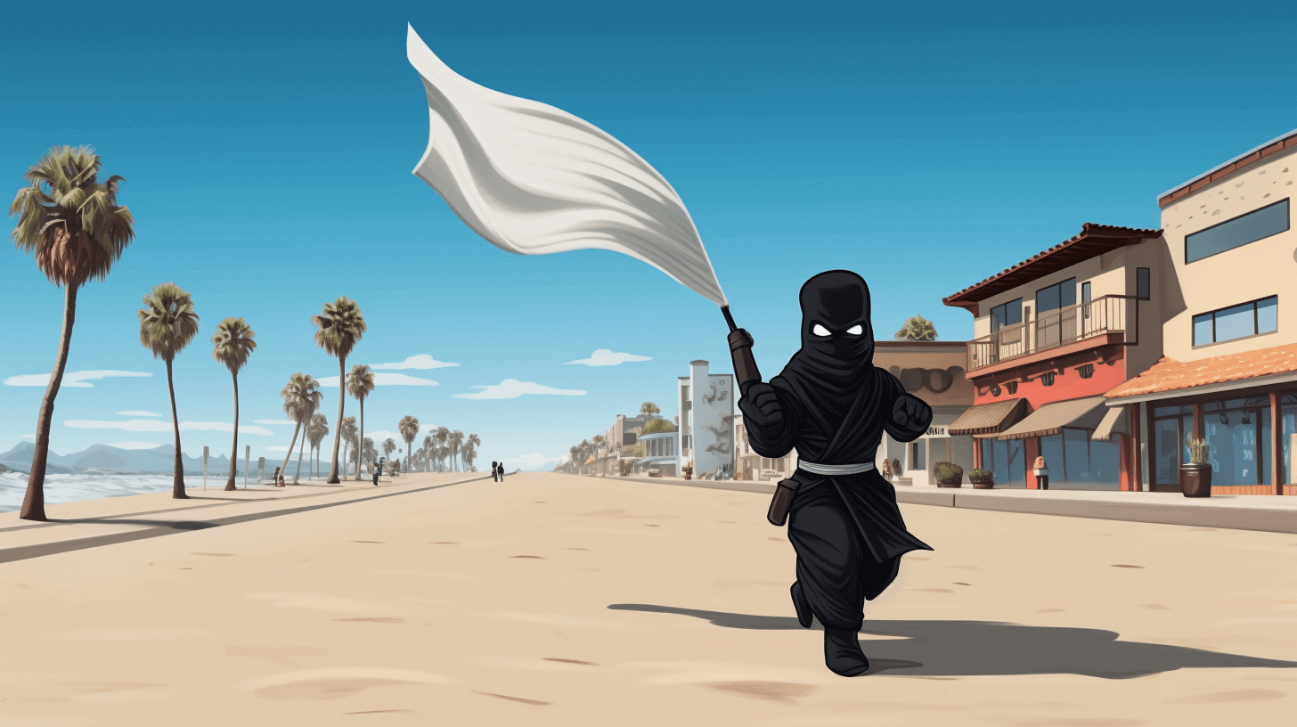 A ninja holding a flag on Venice Beach.